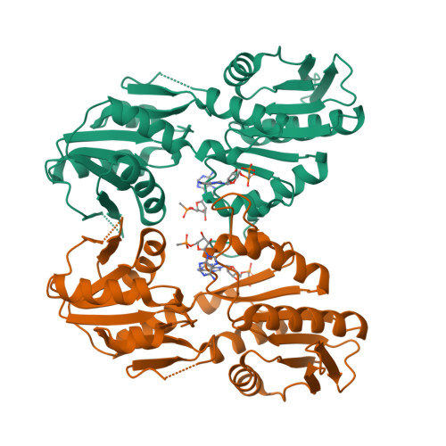 RCSB PDB - 1DKU: CRYSTAL STRUCTURES OF BACILLUS SUBTILIS ...