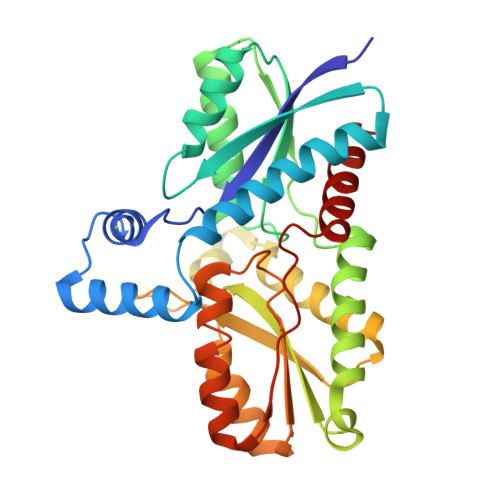 RCSB PDB - 1DOZ: CRYSTAL STRUCTURE OF FERROCHELATASE