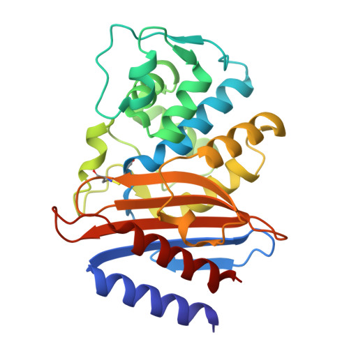 RCSB PDB - 1DY6: Structure of the imipenem-hydrolyzing beta-lactamase SME-1