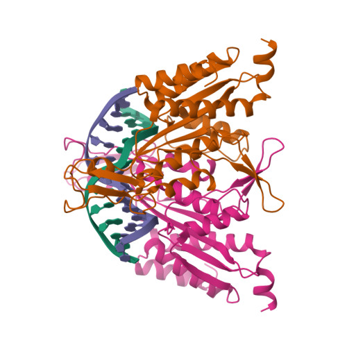 Rcsb Pdb Eri X Ray Structure Of The Dna Eco Ri Endonuclease Dna Recognition Complex The