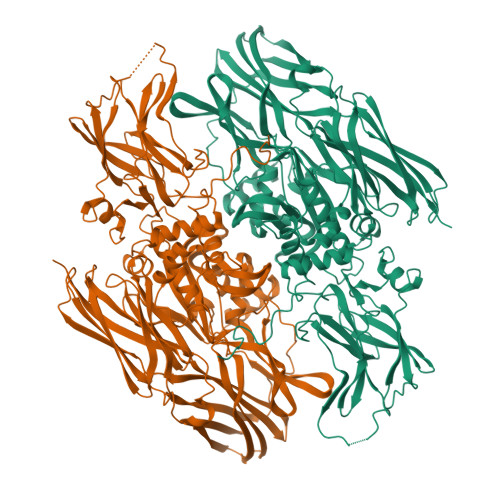 3D molecular structure of Coagulation Factor XIII A-Subunit (Recombinant) (PDB entry 1F13)