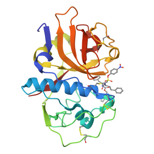 RCSB PDB - 1F2B: CRYSTAL STRUCTURE ANALYSIS OF CRUZAIN BOUND TO VINYL ...