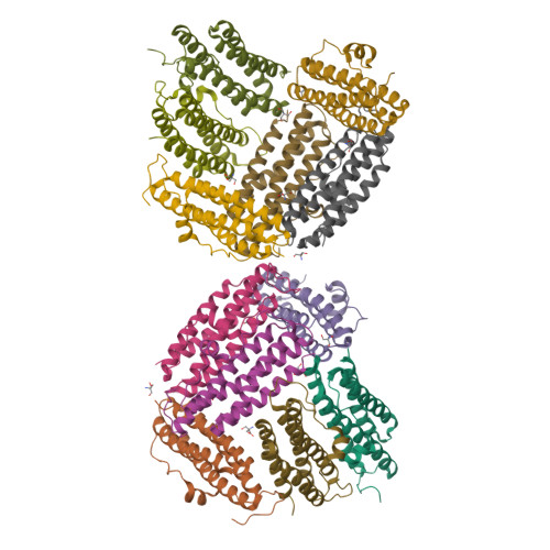 Rcsb Pdb F The Structural Basis For Dna Protection By E Coli Dps Protein