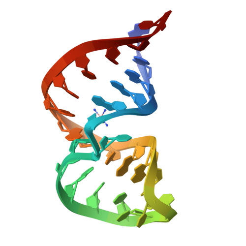 RCSB PDB - 1F7I: SOLUTION STRUCTURE OF THE RNASE P RNA (M1 RNA) P4 STEM ...