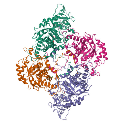 RCSB PDB - 1FCB: MOLECULAR STRUCTURE OF FLAVOCYTOCHROME B2 AT 2.4