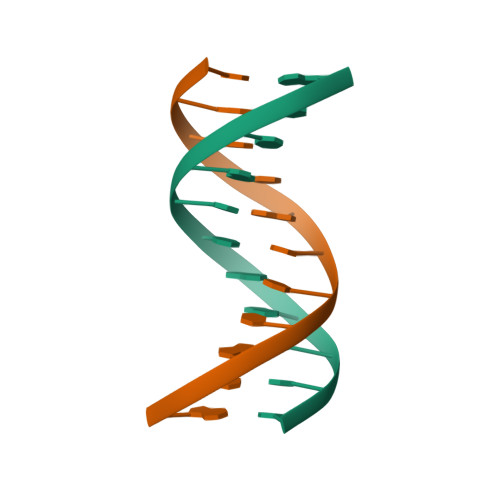 RCSB PDB - 1FKY: NMR STUDY OF B-DNA CONTAINING A MISMATCHED BASE PAIR ...