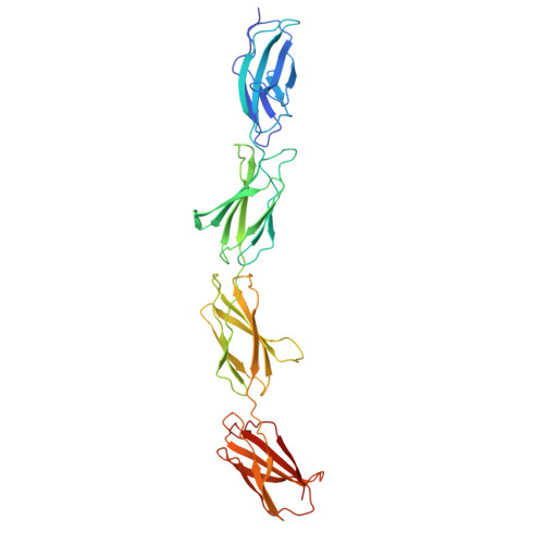 RCSB PDB - 1FNF: FRAGMENT OF HUMAN FIBRONECTIN ENCOMPASSING TYPE-III ...