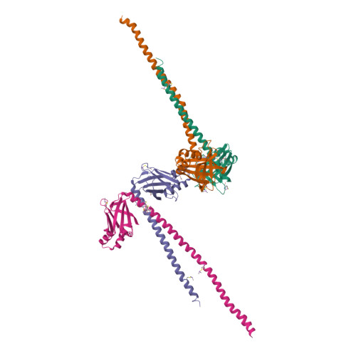 RCSB PDB - 1FU1: CRYSTAL STRUCTURE OF HUMAN XRCC4