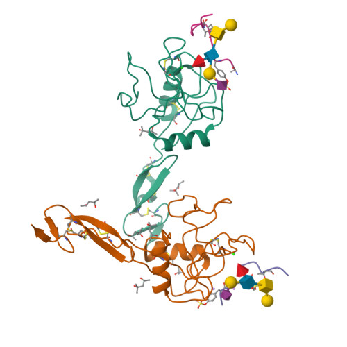 RCSB PDB - 1G1S: P-SELECTIN LECTIN/EGF DOMAINS COMPLEXED WITH PSGL-1 ...