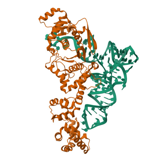 RCSB PDB - 1G59: GLUTAMYL-TRNA SYNTHETASE COMPLEXED WITH TRNA(GLU).