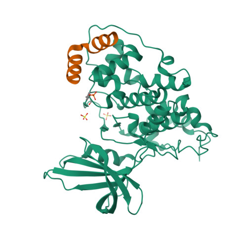 RCSB PDB - 1GNG: Glycogen synthase kinase-3 beta (GSK3) complex with  FRATtide peptide