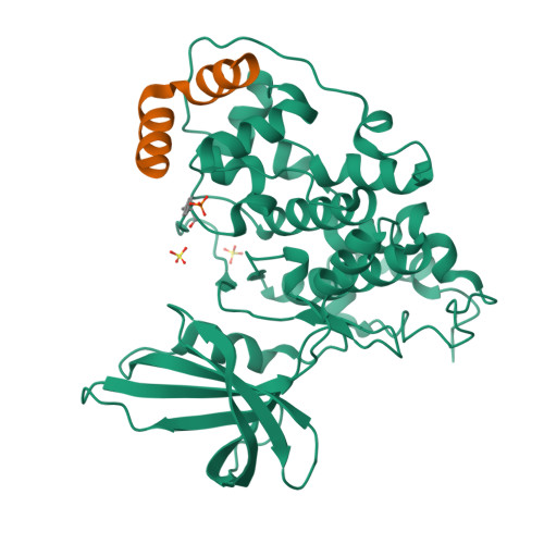 RCSB PDB - 1GNG: Glycogen synthase kinase-3 beta (GSK3) complex with  FRATtide peptide