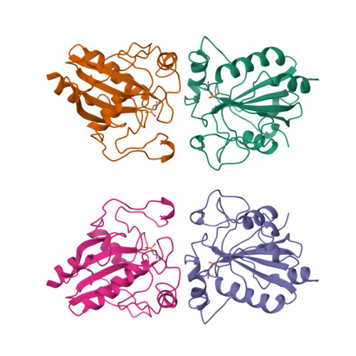 glutathione peroxidase structure