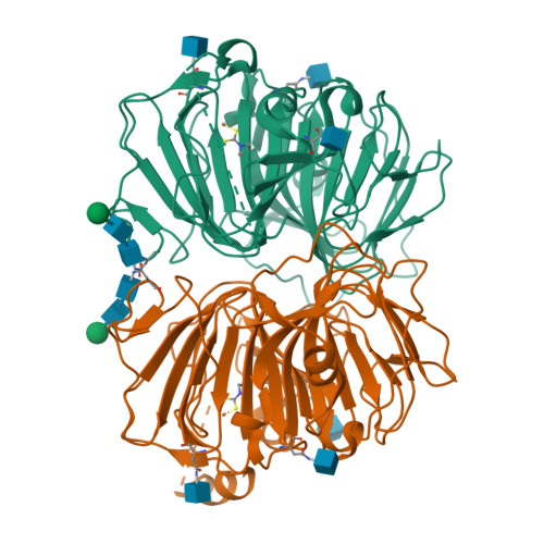 RCSB PDB - 1GQG: Quercetin 2,3-dioxygenase in complex with the ...