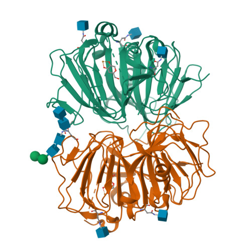 RCSB PDB - 1GQH: Quercetin 2,3-dioxygenase in complex with the ...