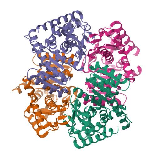 Rcsb Pdb Gv Structural Basis For Thermophilic Protein Stability