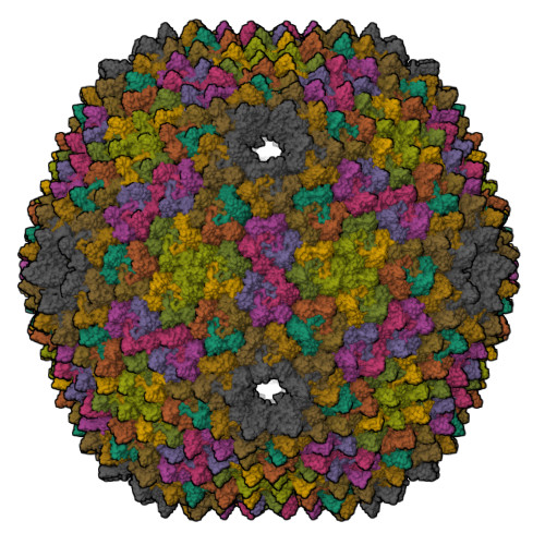 Rcsb Pdb Gw Quasi Atomic Resolution Model Of Bacteriophage Prd Capsid Obtained By