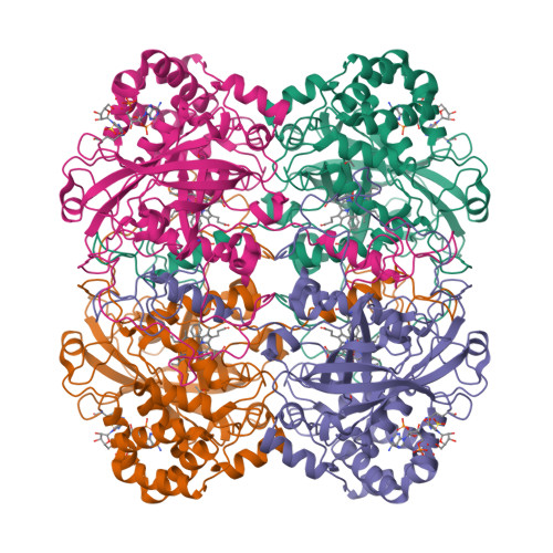 Rcsb Pdb Gwh Atomic Resolution Structure Of Micrococcus Lysodeikticus Catalase Complexed