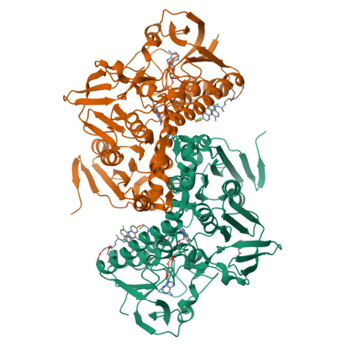 RCSB PDB - 1GXF: CRYSTAL STRUCTURE OF TRYPANOSOMA CRUZI TRYPANOTHIONE ...