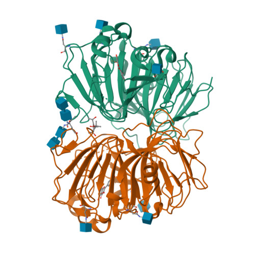 RCSB PDB - 1H1I: CRYSTAL STRUCTURE OF QUERCETIN 2,3-DIOXYGENASE ...