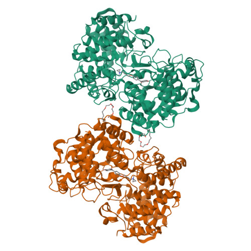 RCSB PDB - 1H36: Structures of Human Oxidosqualene Cyclase