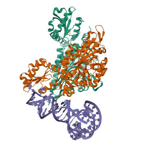 RCSB PDB - 1H4S: Prolyl-tRNA synthetase from Thermus thermophilus complexed  with tRNApro(CGG) and a prolyl-adenylate analogue