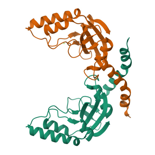 RCSB PDB 1H56 Structural and biochemical characterization of a new