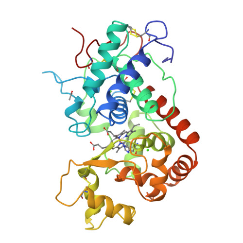 RCSB PDB 1HCH Structure of horseradish peroxidase C1A compound I