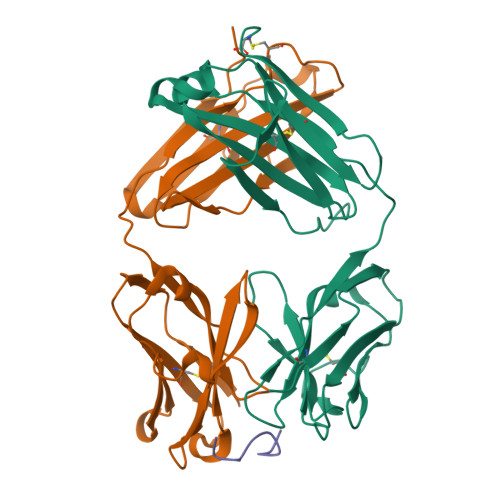 RCSB PDB - 1HI6: ANTI-P24 (HIV-1) FAB FRAGMENT CB41 COMPLEXED WITH A ...