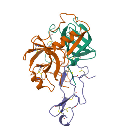 Glandular kallikrein structure