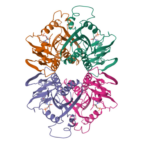 RCSB PDB - 1HMP: THE CRYSTAL STRUCTURE OF HUMAN HYPOXANTHINE-GUANINE ...