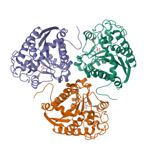 RCSB PDB 1HQ5 CRYSTAL STRUCTURE OF THE BINUCLEAR MANGANESE