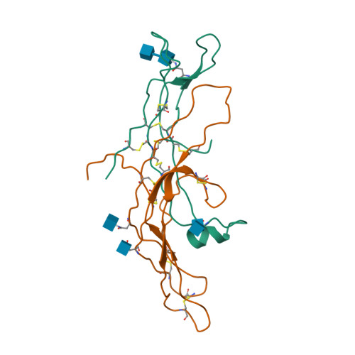 3D molecular structure of choriogonadotropin alfa (PDB entry 1HRP)