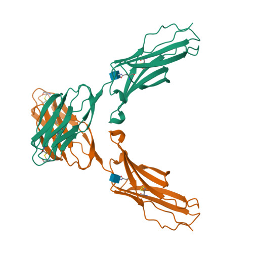 RCSB PDB - 1IAM: STRUCTURE OF THE TWO AMINO-TERMINAL DOMAINS OF HUMAN ...