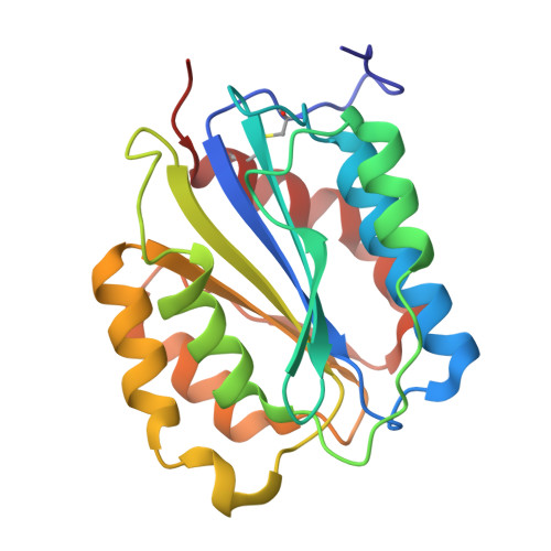 RCSB PDB - 1IJB: The von Willebrand Factor mutant (I546V) A1 domain
