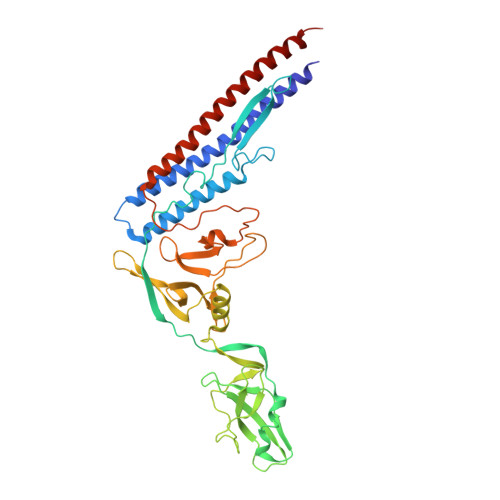 rcsb-pdb-1io1-crystal-structure-of-f41-fragment-of-flagellin