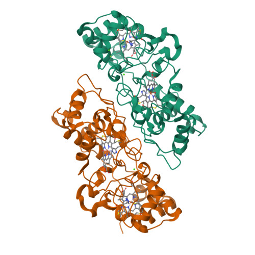 RCSB PDB - 1IQC: Crystal structure of Di-Heme Peroxidase from ...