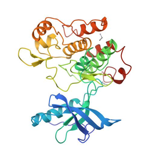 tyrosine kinase structure