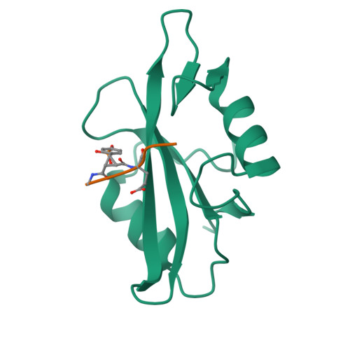 RCSB PDB - 1IS0: Crystal Structure Of A Complex Of The Src SH2 Domain ...