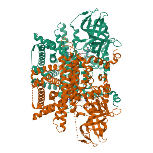 Peroxisomal acyl-coenzyme A oxidase 1 structure