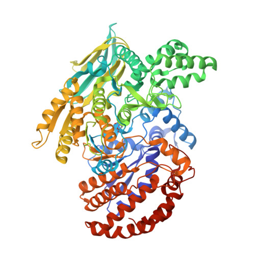 structure isocitrate