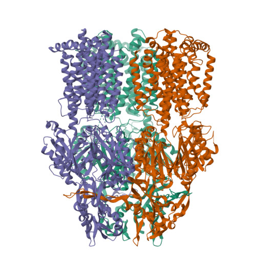 RCSB PDB - 1IWG: Crystal structure of Bacterial Multidrug Efflux