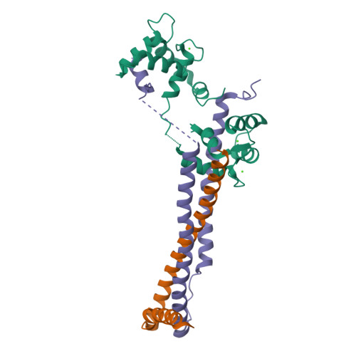 RCSB PDB - 1J1D: Crystal structure of the 46kDa domain of human cardiac ...