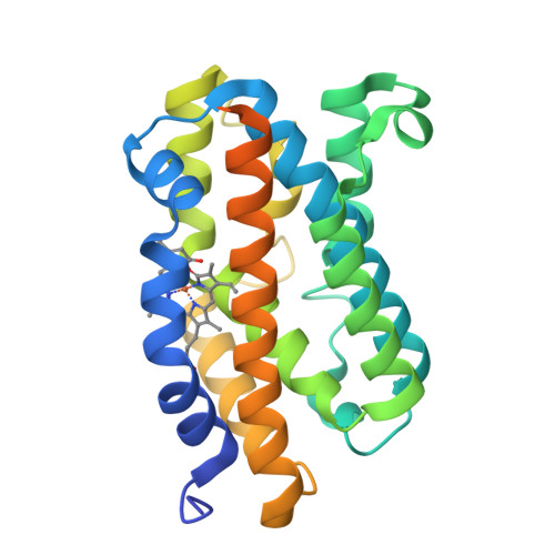 RCSB PDB - 1J2C: Crystal structure of rat heme oxygenase-1 in complex ...