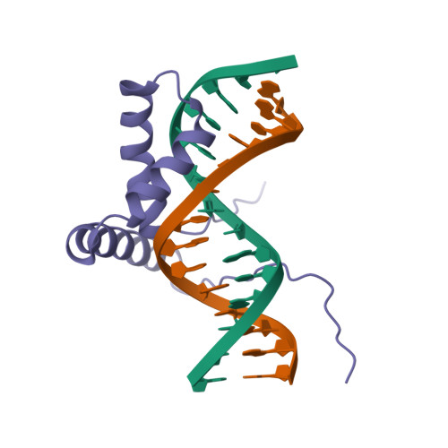 Rcsb Pdb 1j47 3d Solution Nmr Structure Of The M9i Mutant Of The Hmg