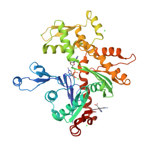 RCSB PDB - 1J6Z: UNCOMPLEXED ACTIN