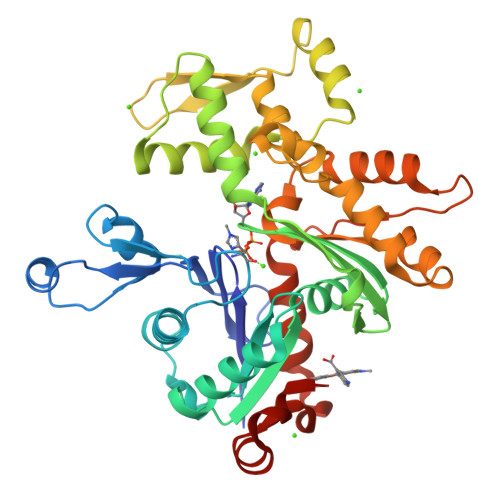 RCSB PDB - 1J6Z: UNCOMPLEXED ACTIN