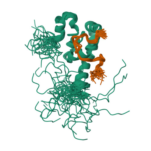 RCSB PDB 1JGN Solution structure of the C terminal PABC domain