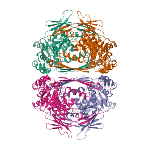 RCSB PDB - 1JKF: Holo 1L-myo-inositol-1-phosphate Synthase