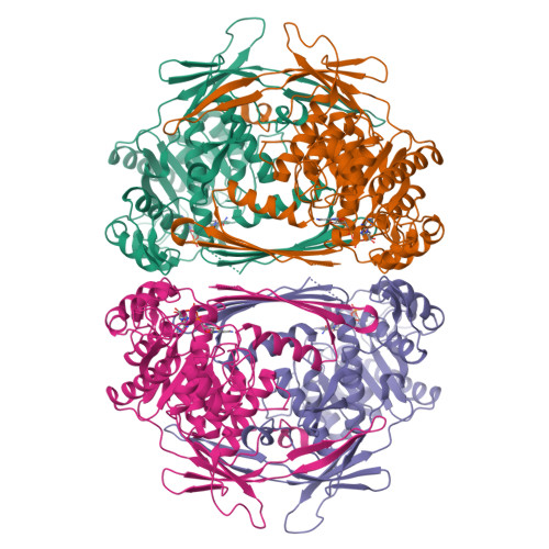 RCSB PDB - 1JKF: Holo 1L-myo-inositol-1-phosphate Synthase